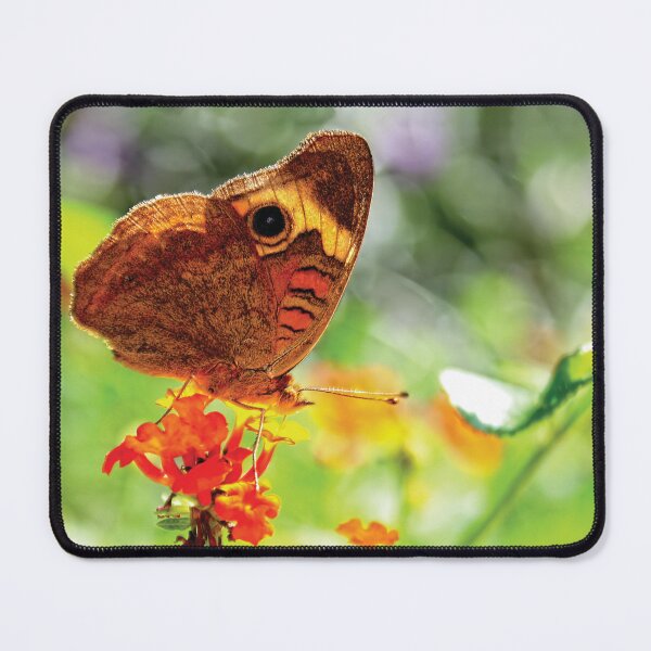 Item preview, Tropical Buckeye Butterfly Readying for Takeoff designed and sold by Kay Brewer.