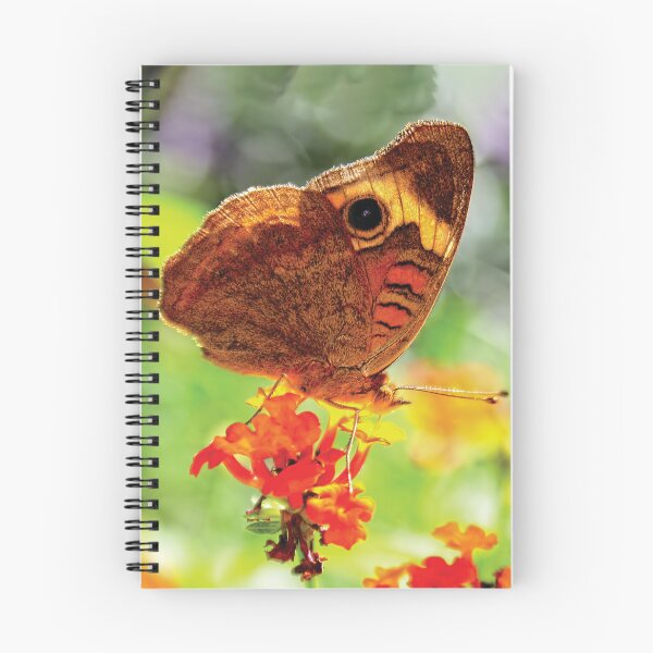 Item preview, Tropical Buckeye Butterfly Readying for Takeoff designed and sold by Kay Brewer.