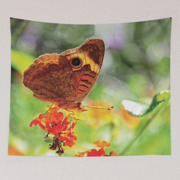 Item preview, Tropical Buckeye Butterfly Readying for Takeoff designed and sold by Kay Brewer.