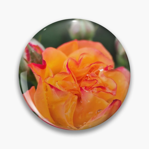 Item preview, Vivid Red Orange Rose Rosa Catching Small Raindrops designed and sold by vtspatial.