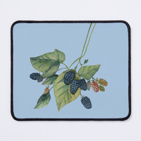 Item preview, watercolor blackberry branch designed and sold by IreneRuya.