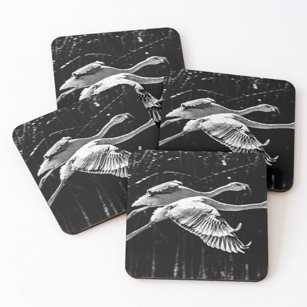 Item preview, Black and White Flamingo Duo in Flight – Wildlife Photography Argentina Puna Andes designed and sold by Keltoi-art.