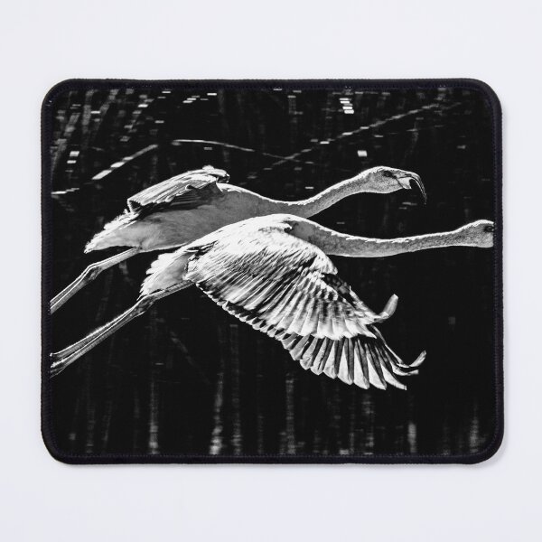Item preview, Black and White Flamingo Duo in Flight – Wildlife Photography Argentina Puna Andes designed and sold by Keltoi-art.