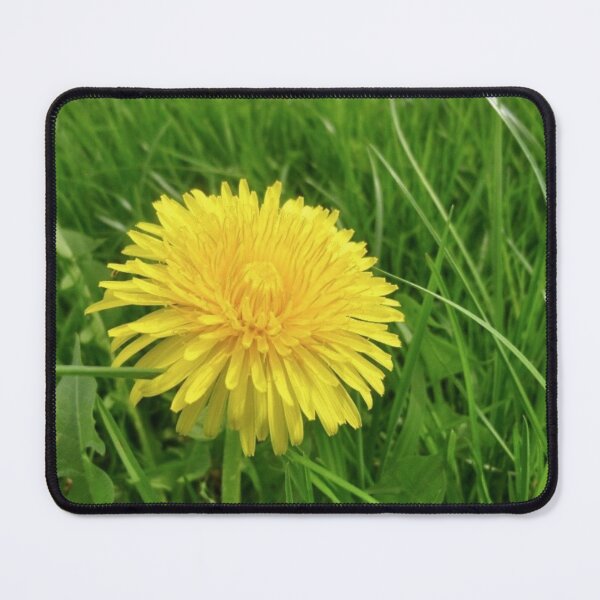 Item preview, Dandelion designed and sold by irisArtts.