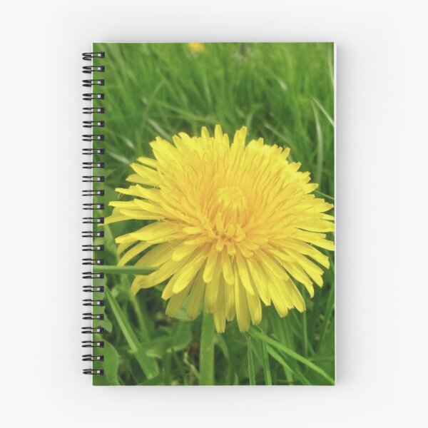 Item preview, Dandelion designed and sold by irisArtts.