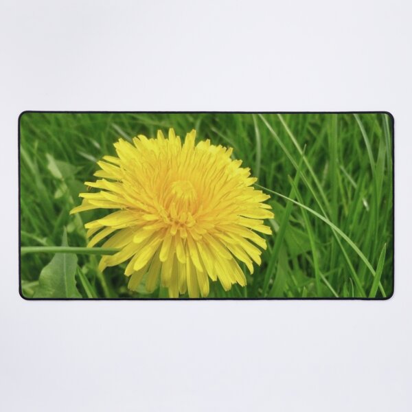 Item preview, Dandelion designed and sold by irisArtts.
