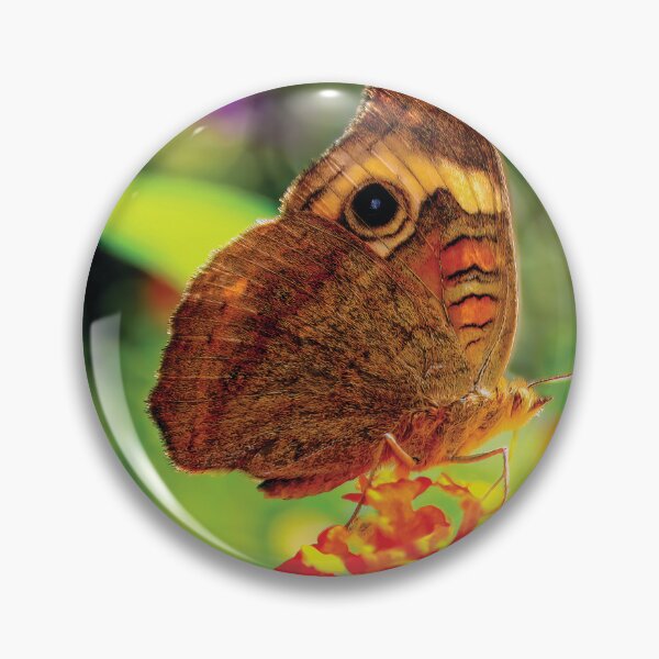 Item preview, Tropical Buckeye Butterfly designed and sold by Kay Brewer.