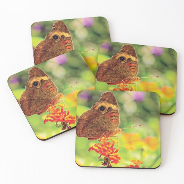 Item preview, Tropical Buckeye Butterfly designed and sold by Kay Brewer.