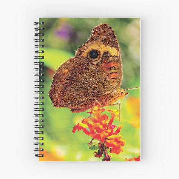 Item preview, Tropical Buckeye Butterfly designed and sold by Kay Brewer.