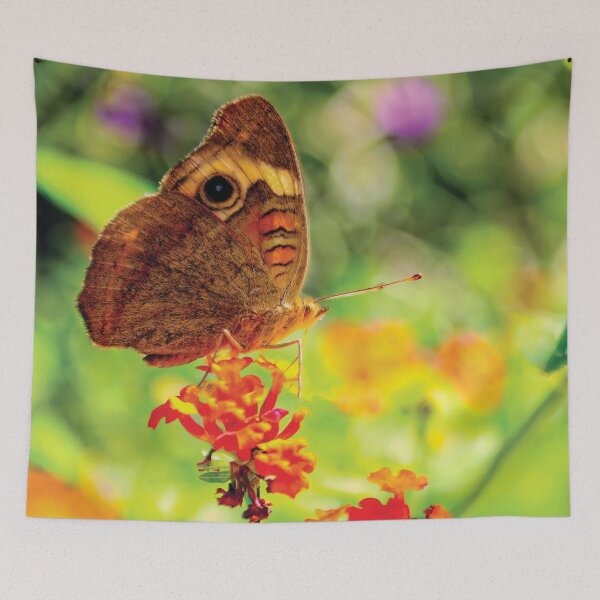 Item preview, Tropical Buckeye Butterfly designed and sold by Kay Brewer.