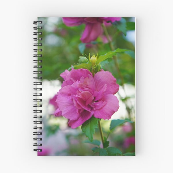 Item preview, The Full Story - A Rose of Sharon Blossom Among Awaiting Buds designed and sold by Loveisthebtwd.