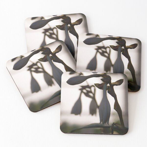 Item preview, Hostas In The Evening  designed and sold by Nemoryra.