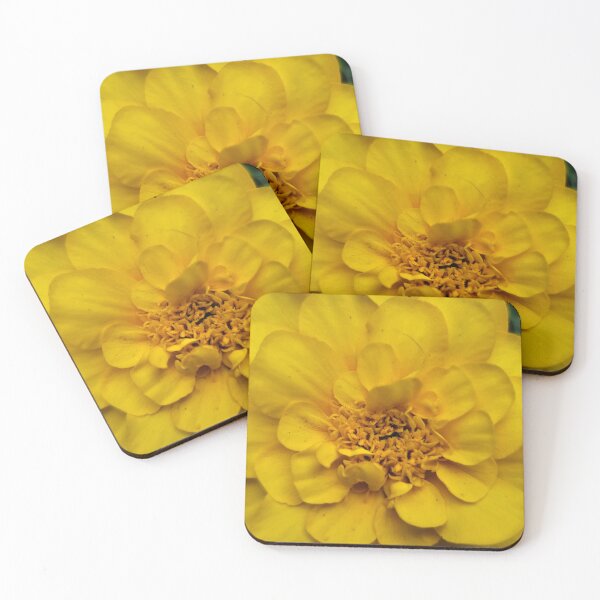 Item preview, Closeup of Marigold designed and sold by Quincy-Hedgehog.