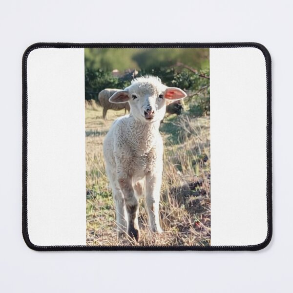 Item preview, young lamb enjoying itself designed and sold by AndresGArt.