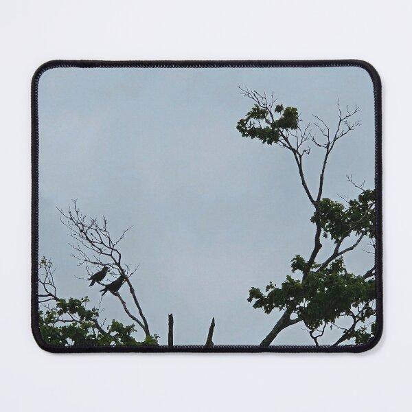 Item preview, Branches in Gloomy Sky designed and sold by Quincy-Hedgehog.