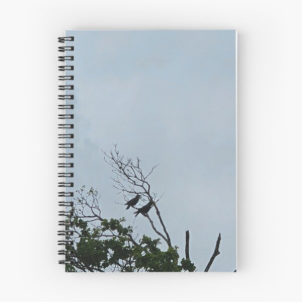 Item preview, Branches in Gloomy Sky designed and sold by Quincy-Hedgehog.
