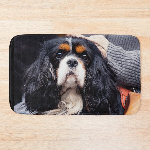 Item preview, Cavalier King Charles Spaniel Portrait designed and sold by JackPipes23.