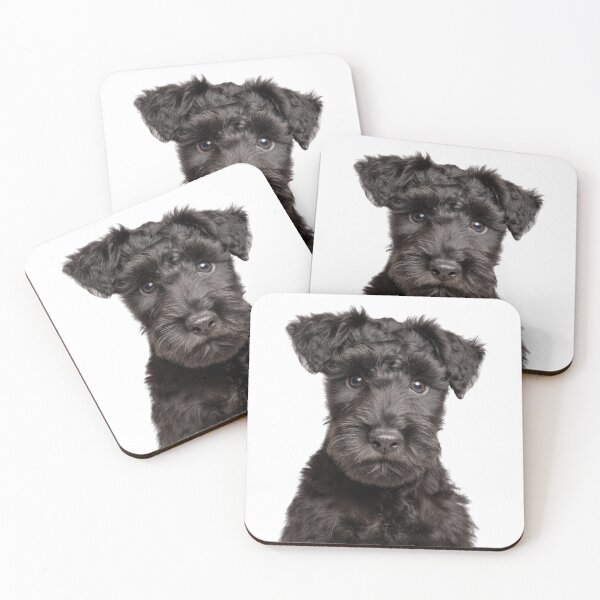 Item preview, Adorable Kerry Blue Terrier puppy for Cute Irish Blue Terrier puppy lovers designed and sold by LazyOwlStore.