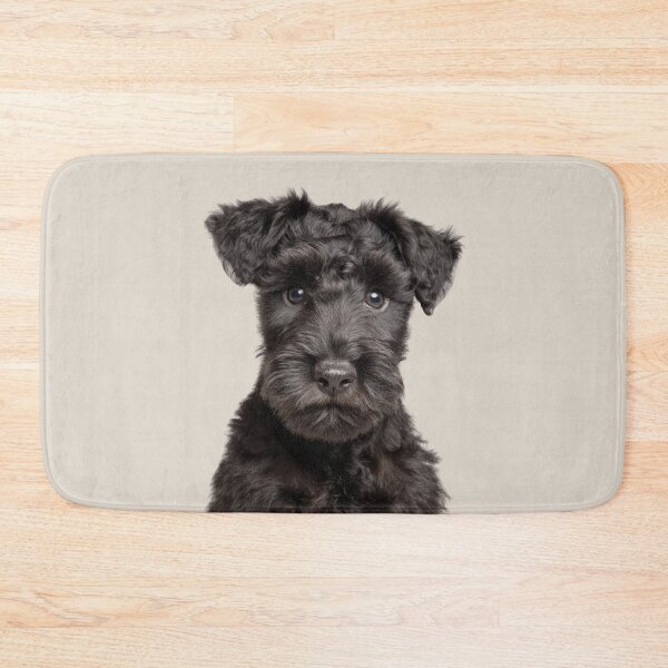 Item preview, Adorable Kerry Blue Terrier puppy for Cute Irish Blue Terrier puppy lovers designed and sold by LazyOwlStore.
