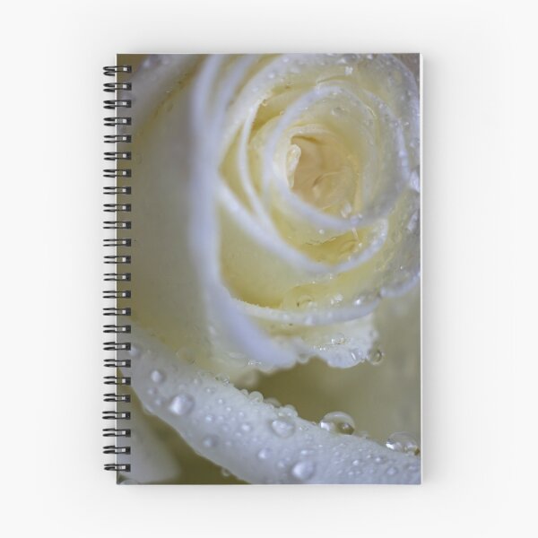 Item preview, White Rose Macro with Morning Dew Drops designed and sold by MariaAteva.