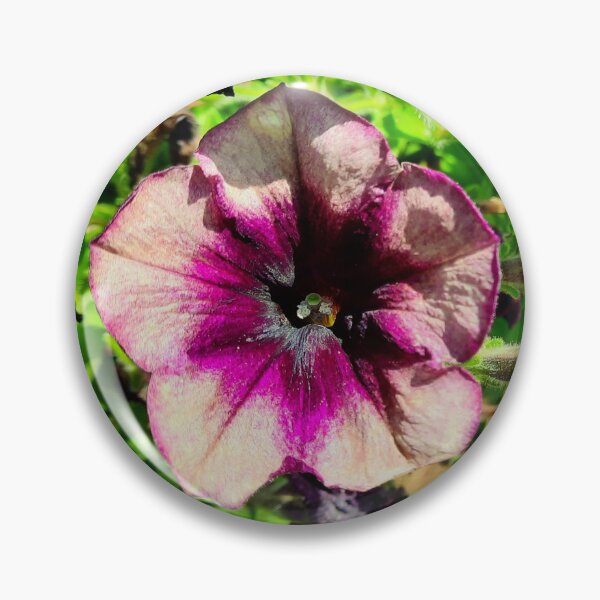 Item preview, Purple and Yellow Petunias designed and sold by Quincy-Hedgehog.