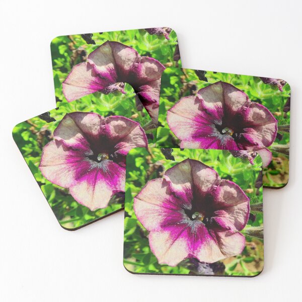 Item preview, Purple and Yellow Petunias designed and sold by Quincy-Hedgehog.