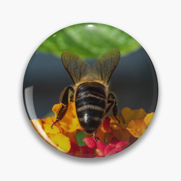 Item preview, Bee seen from behind designed and sold by XaviFotografia.