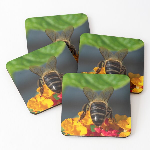 Item preview, Bee seen from behind designed and sold by XaviFotografia.