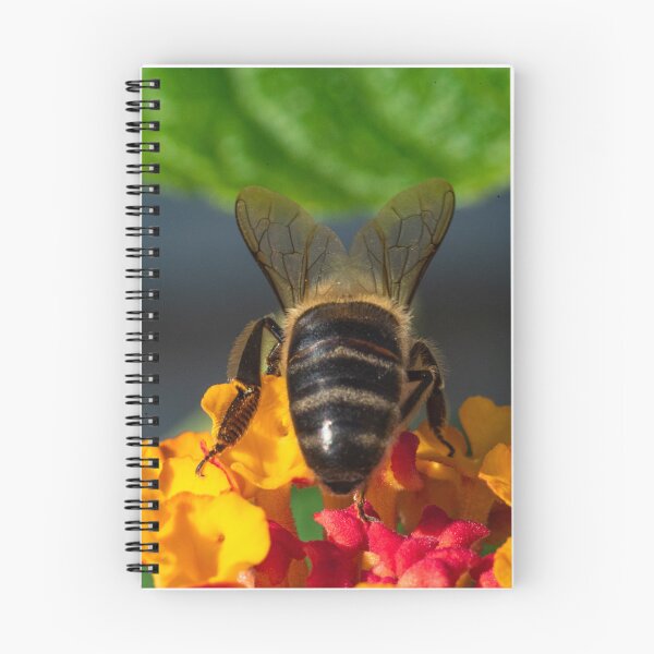 Item preview, Bee seen from behind designed and sold by XaviFotografia.