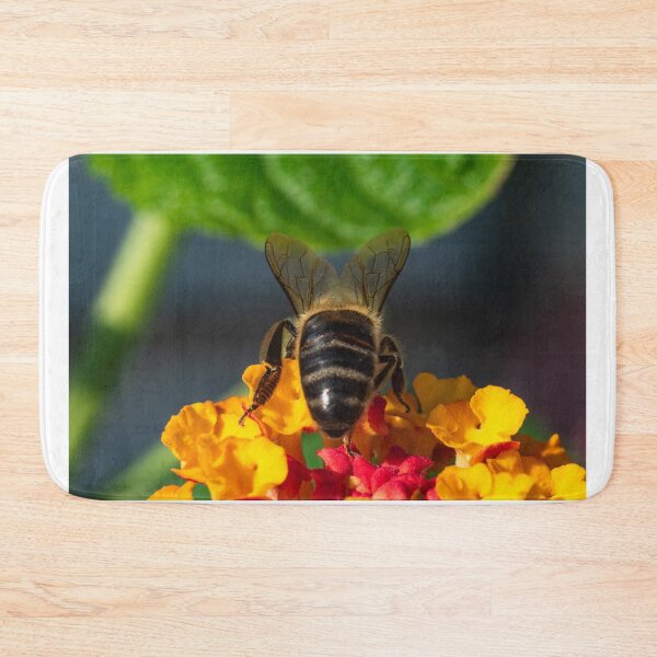 Item preview, Bee seen from behind designed and sold by XaviFotografia.