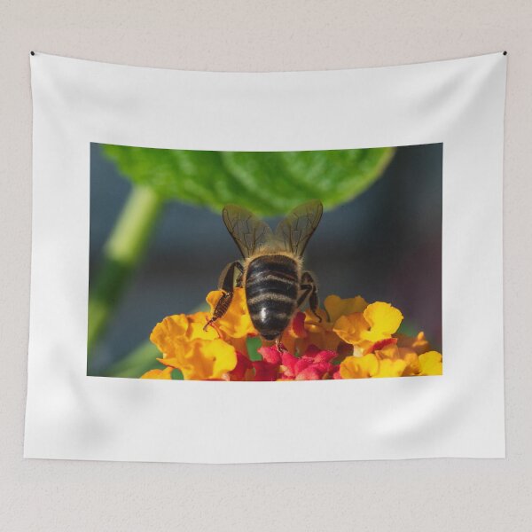 Item preview, Bee seen from behind designed and sold by XaviFotografia.