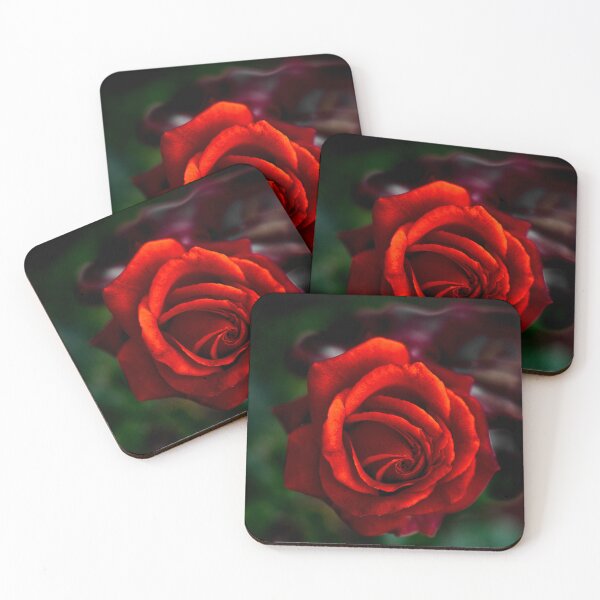 Item preview, Red rose passion designed and sold by XaviFotografia.