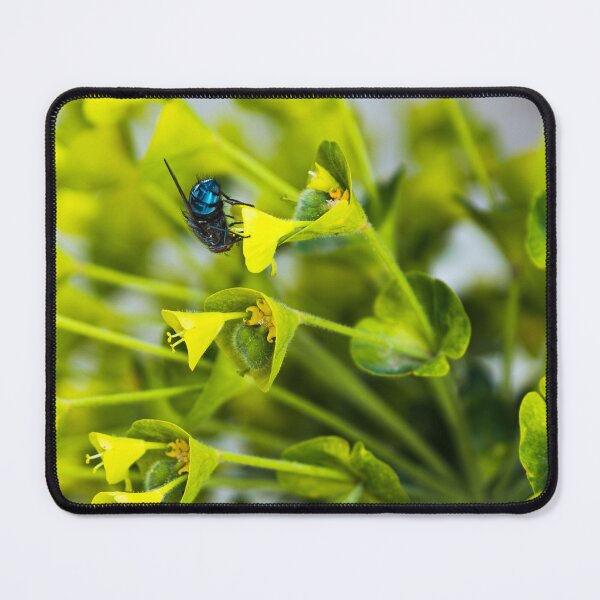 Item preview, Blue Bottle Fly on Yellow Green Flowers designed and sold by JackPipes23.
