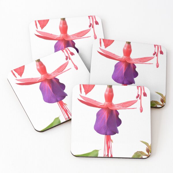 Item preview, Fuchsia  FuchsiaBerry designed and sold by Chris Burrows.