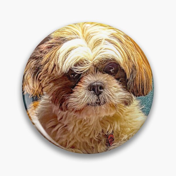 Item preview, Three Year Old Shih Tzu Pup, Animal Portrait designed and sold by AMacGPhilly.
