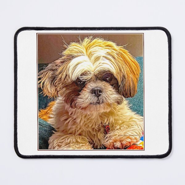Item preview, Three Year Old Shih Tzu Pup, Animal Portrait designed and sold by AMacGPhilly.