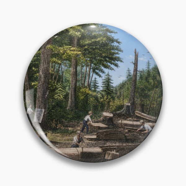 Item preview, Eastern Hemlock being peeled for Tanning, Colorized designed and sold by Urbantheseus.