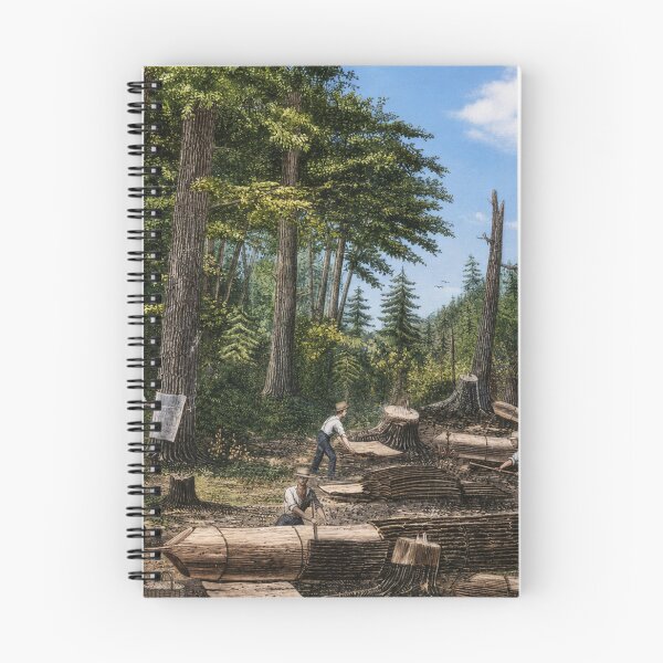 Item preview, Eastern Hemlock being peeled for Tanning, Colorized designed and sold by Urbantheseus.