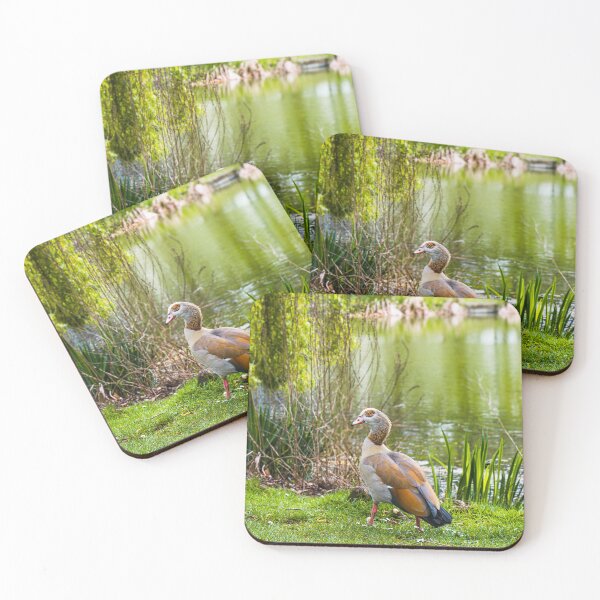 Item preview, Egyptian Goose by the Lakeside  designed and sold by JackPipes23.