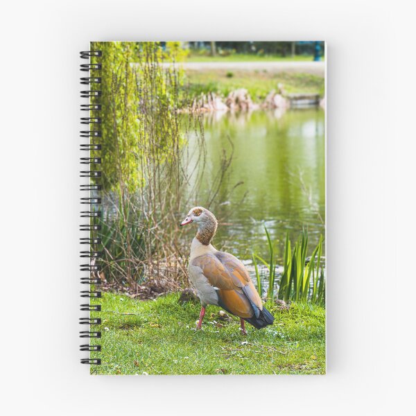 Item preview, Egyptian Goose by the Lakeside  designed and sold by JackPipes23.