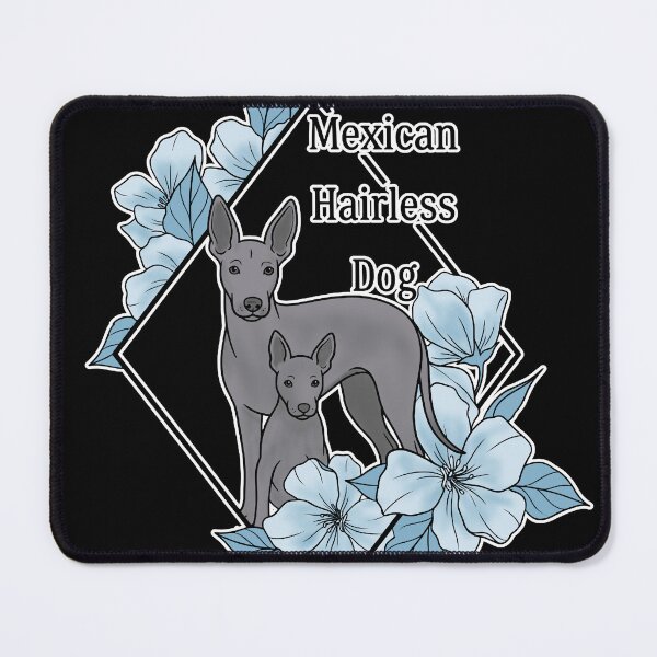 Item preview, Xoloitzcuintli Dog Art Print with Blue Flowers designed and sold by Blupunk.