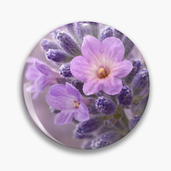 Item preview, Purple Lavender Flower Macro, Botanical Herb Art Print designed and sold by Violafleurviolett.