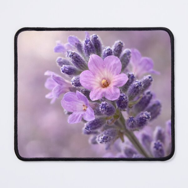 Item preview, Purple Lavender Flower Macro, Botanical Herb Art Print designed and sold by Violafleurviolett.