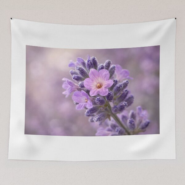Item preview, Purple Lavender Flower Macro, Botanical Herb Art Print designed and sold by Violafleurviolett.