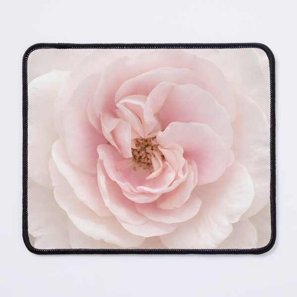 Item preview, Blush Pink Rose Art, Soft Floral Aesthetic Print designed and sold by Violafleurviolett.