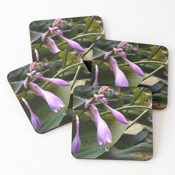 Item preview, Closeup of Hosta Flowers designed and sold by Quincy-Hedgehog.