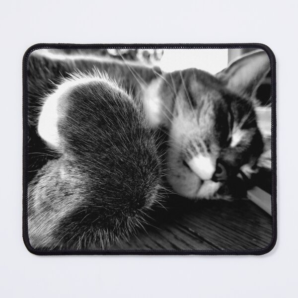 Item preview, Paw of a Sleeping Cat designed and sold by Quincy-Hedgehog.