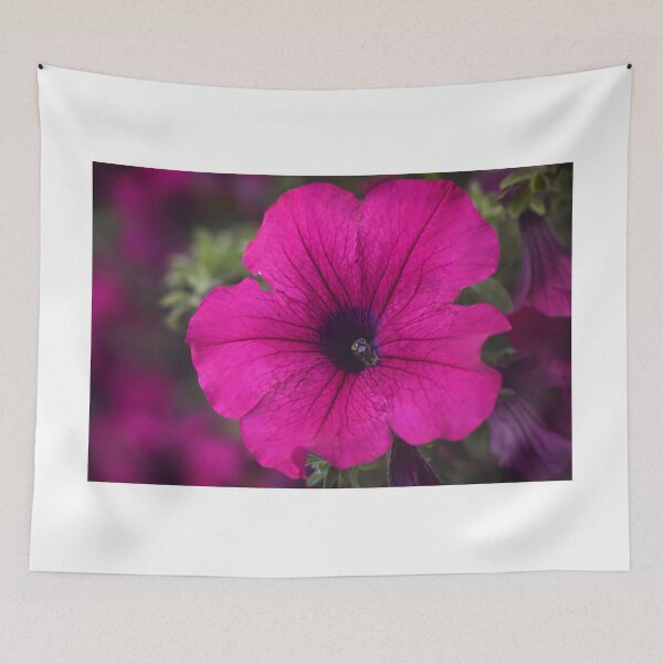 Item preview, Vibrant Pink Petunia Flower Art, Botanical Floral Aesthetic designed and sold by Violafleurviolett.