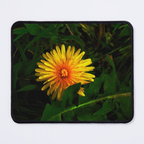 Item preview, A pop of colour designed and sold by WhimsicalBeing.