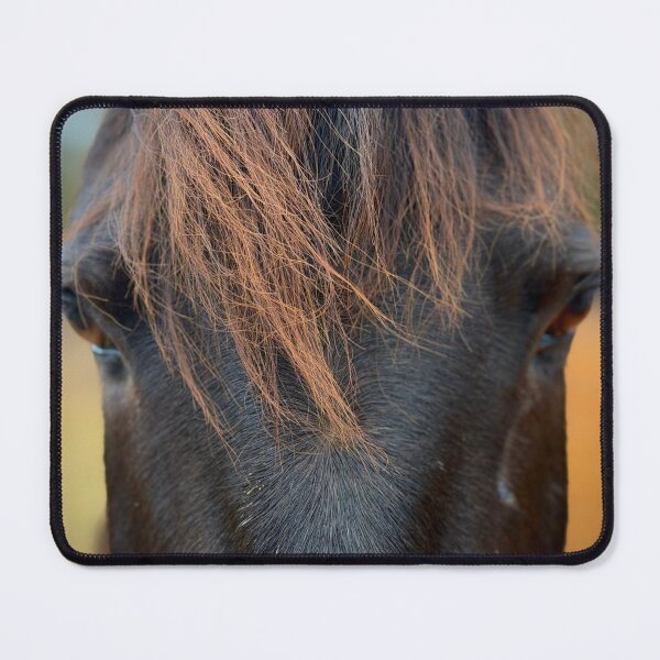 Item preview, A horse with amazing ombre bangs designed and sold by Horses By Jess.